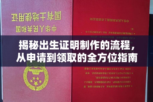 渝水揭秘出生证明制作的流程，从申请到领取的全方位指南