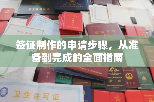 渝水签证制作的申请步骤，从准备到完成的全面指南