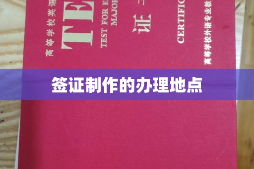 渝水签证制作的办理地点