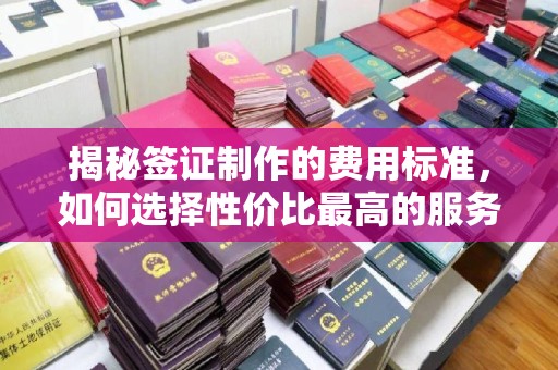 渝水揭秘签证制作的费用标准，如何选择性价比最高的服务？