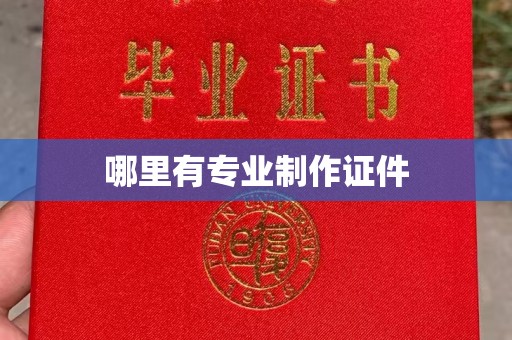 渝水哪里有专业制作证件