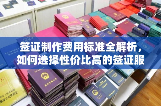 渝水签证制作费用标准全解析，如何选择性价比高的签证服务？