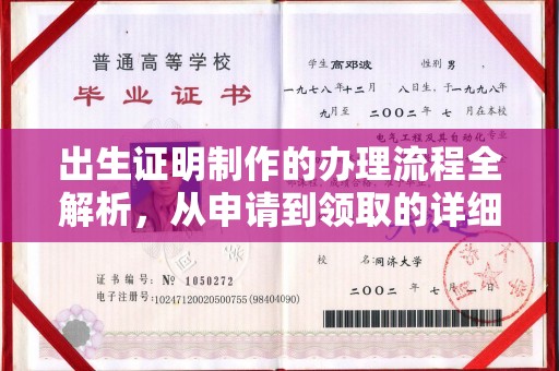 渝水出生证明制作的办理流程全解析，从申请到领取的详细指南